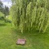 SB5 Blick a.d. Wohnzimmer