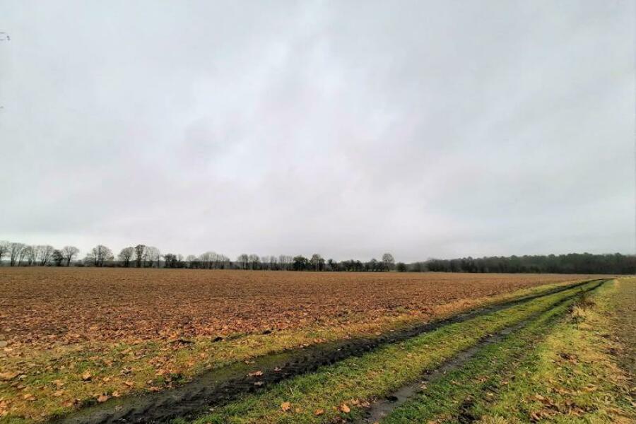 Entwicklungsland grösserer Teil