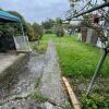 3 Garten