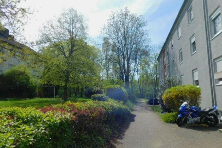 BB3 Zugangsbereich mit Grünalange