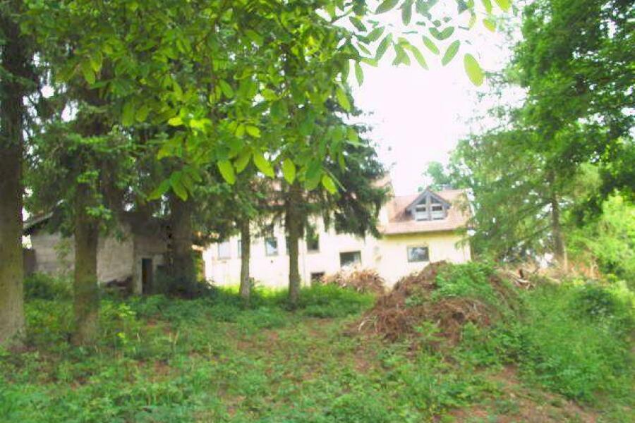3 - Garten mit Grtenhäuschen