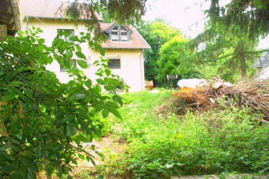 4 - zahlreiche Stellplätze
