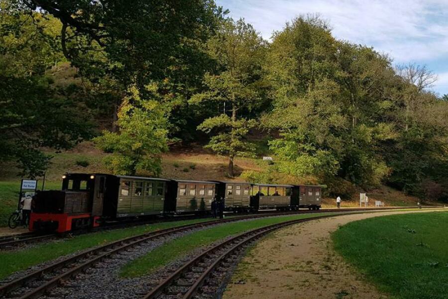 historische Waldeisenbahn