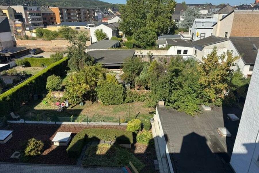 IB11 Blick in den Garten