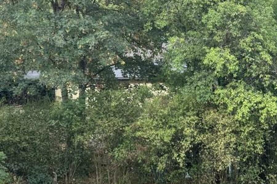14 Blick in den Garten