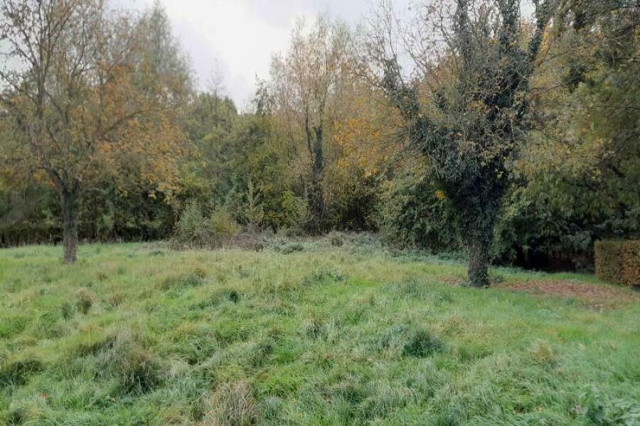 blick vorderseite grundstueck hinterer teil