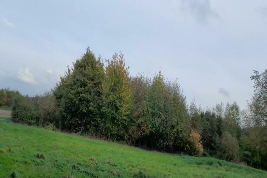 blickseite zum feld grundstueckteil