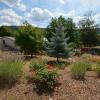 Garten Bild 1