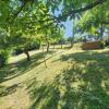 HB24 Blick i.d. Garten