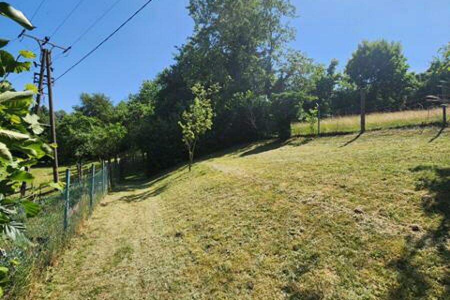 HB24-6 Blick i.d. Garten