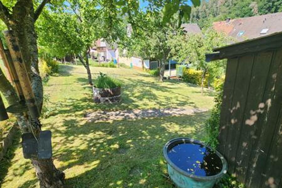 HB24-3 Blick i.d. Garten