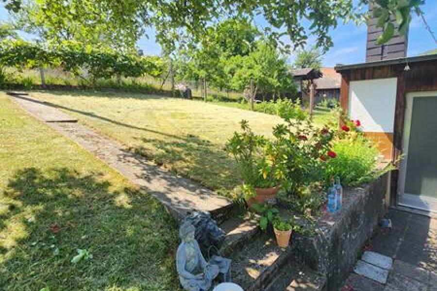 Hb24-4 Blick i.d. Garten