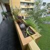 2a Blumenkasten vor der Wohnung
