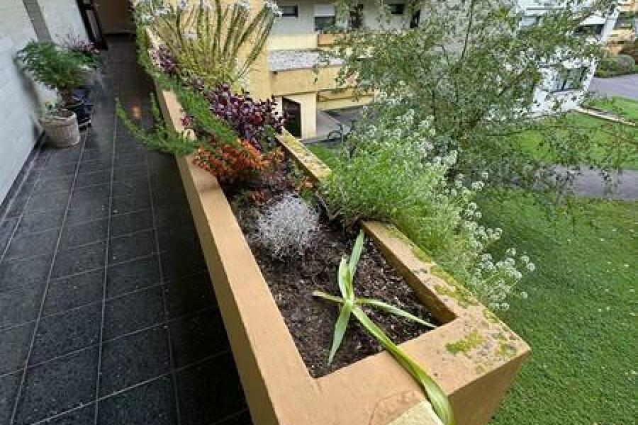 2a Blumenkasten vor der Wohnung