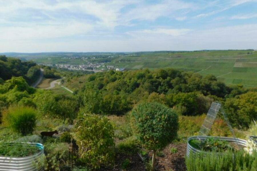 BB32 Blick i.d. Garten