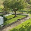 12 Garten Rückseite