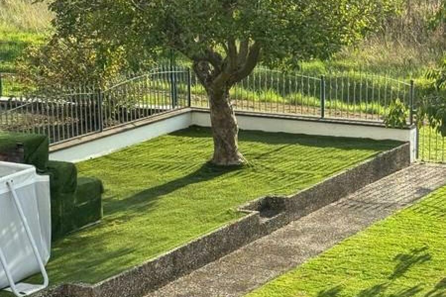 12 Garten Rückseite
