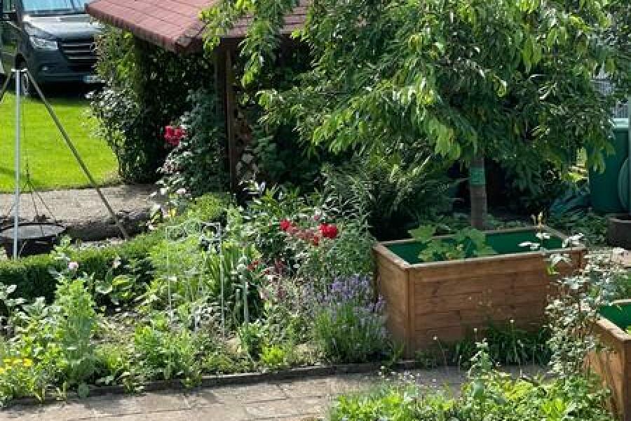 49 Garten mit Laube