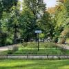 Augustaplatz