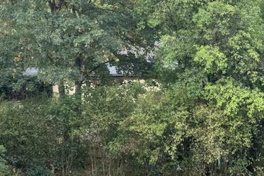 14 Blick in den Garten