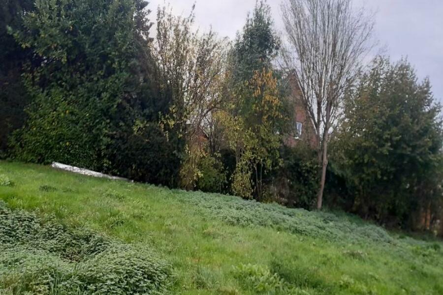 20251022 175405 copy 800x600