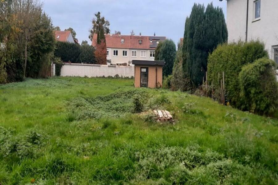 20251022 175331 copy 800x600