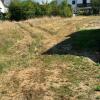 4 Bis zum Zaun