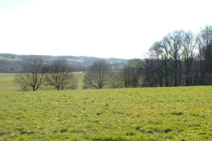 9a Garten + Terrassenblick