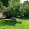OB29 Gartenansicht