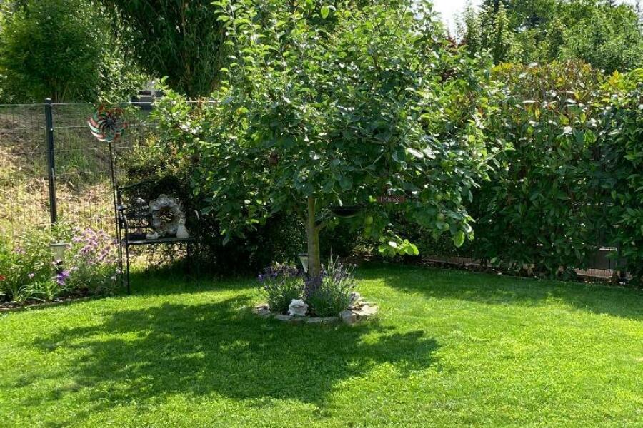 OB29 Gartenansicht