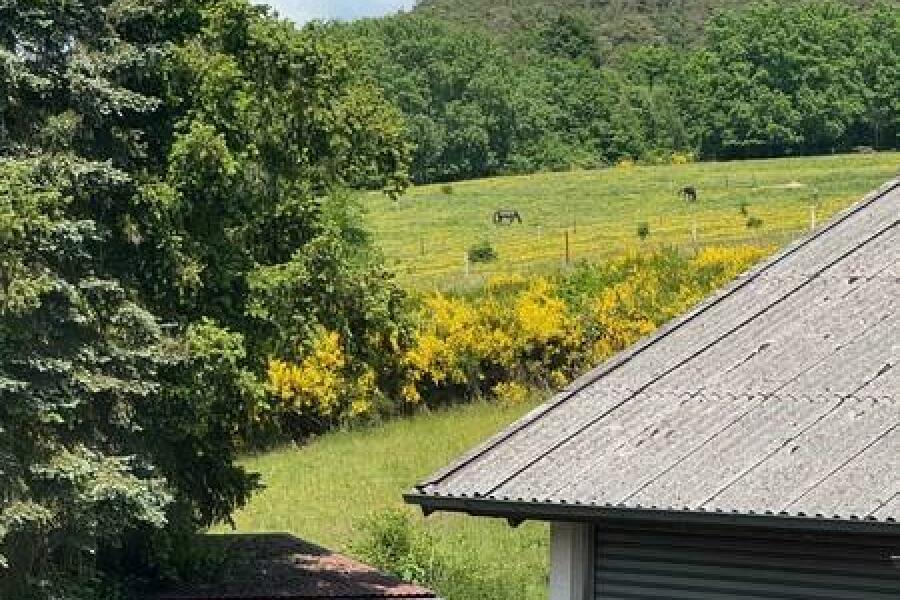 74 Blick zur Jungpferdewiese