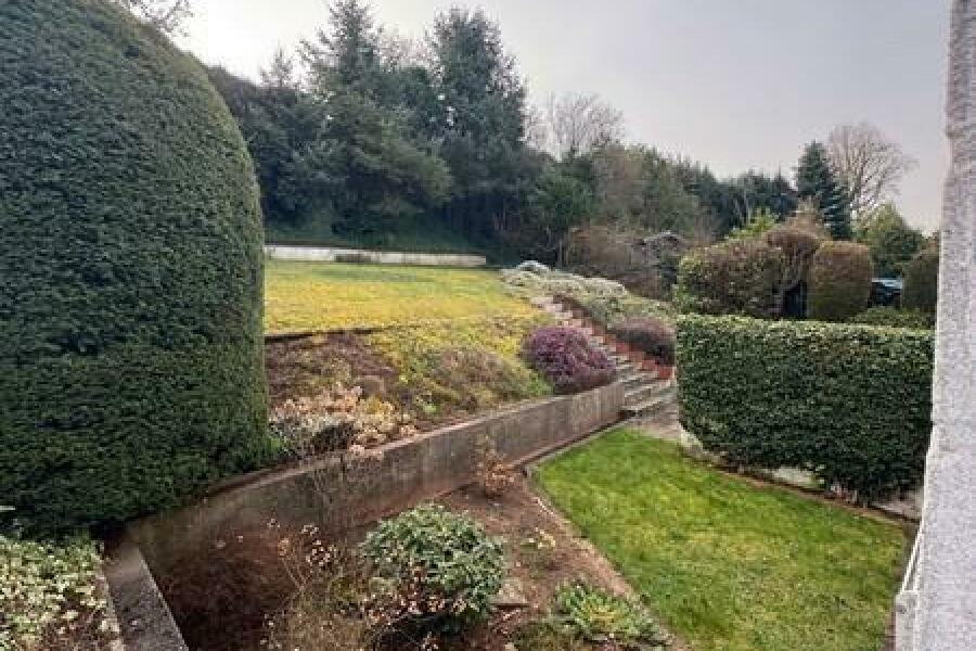 6 Garten