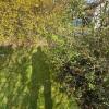 14 Gartengrenze