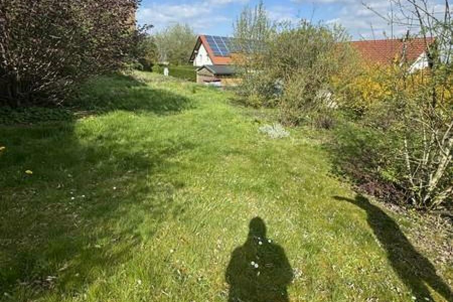 12 Garten