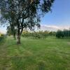 Obstplantage2