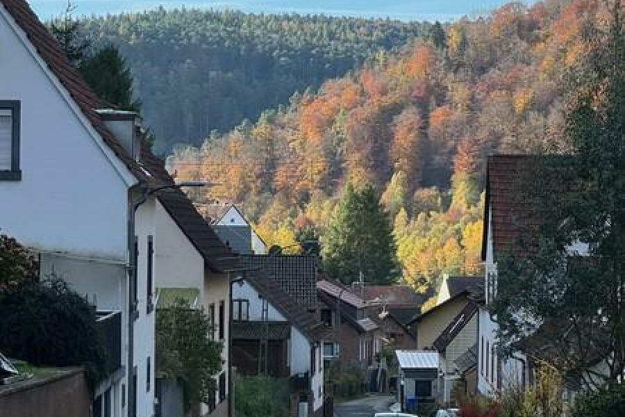 6 Talblick